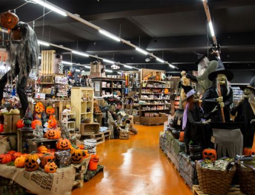 Happy Halloween | KiMaPa testet Horror-Shop