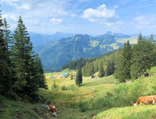 Obere Maxlraineralm – Spitzingsee