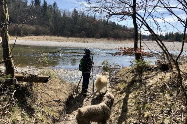 Isar-auenlandschaft-kind-mit-hunden-beim-wandern