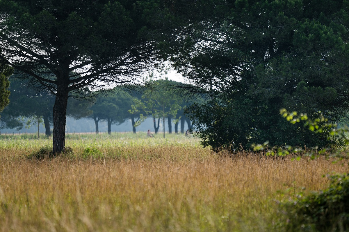 Landschaft und Umgebung (1) © Europa Tourist Group