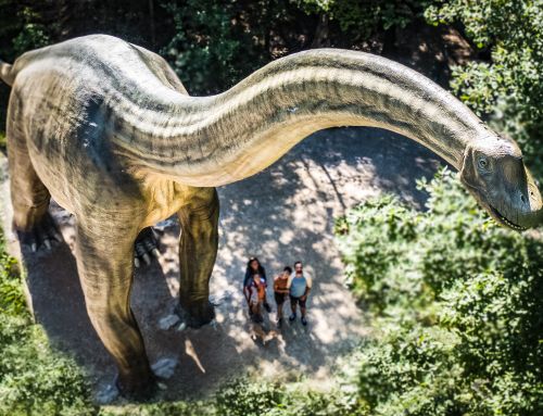 Dinosaurier Museum Altmühltal