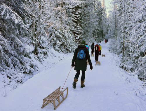 Naturrodelbahn Blomberg – Bad Tölz