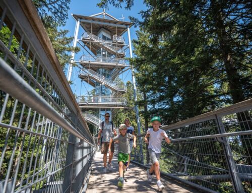 Waldwelt Skywalk Allgäu
