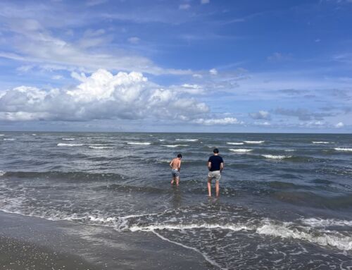 Familienurlaub auf der Insel Albarella