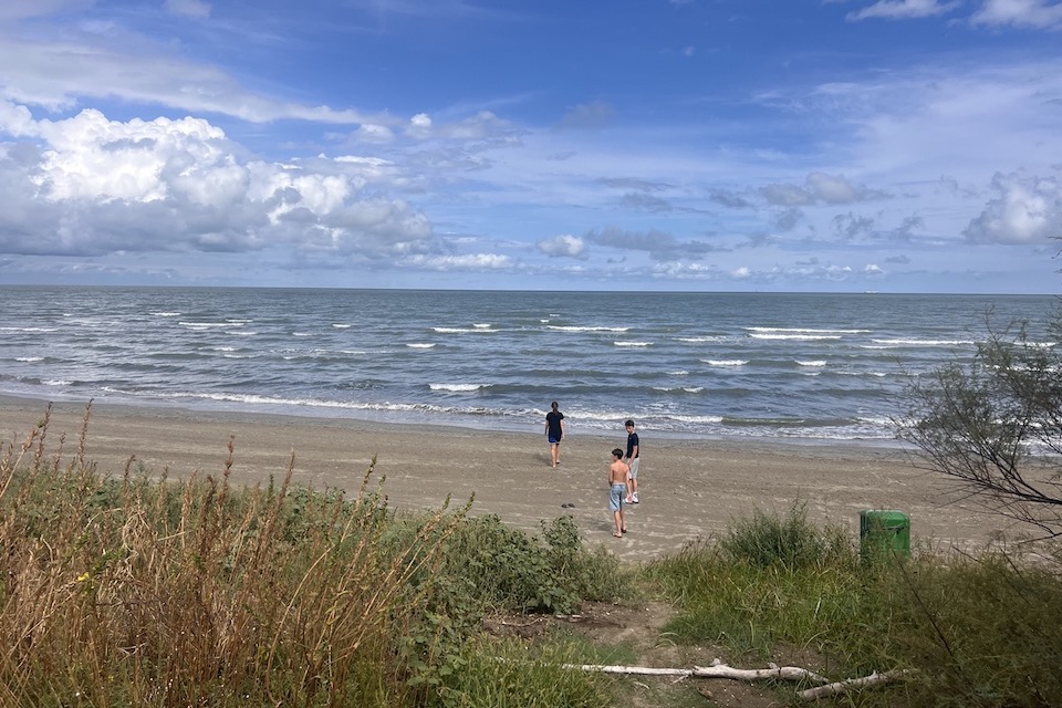 Albarella-wilderstrand