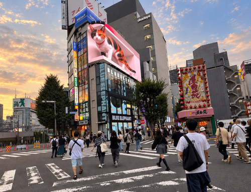 Japan mit Kindern: Unsere Familienreise zwischen Tokio, Osaka und Kyoto