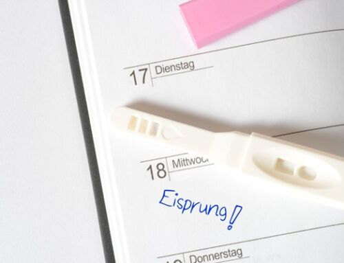 Wenn der Kinderwunsch Thema wird: Zwischen Hoffnungen und sensiblen Gesprächen