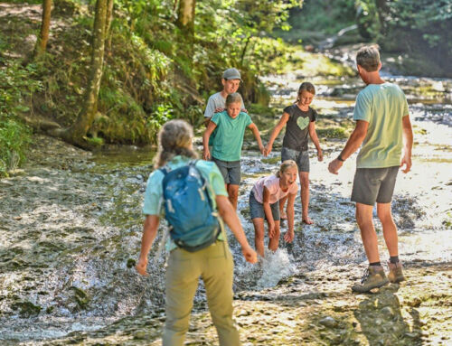 Familienurlaub in Scheidegg im Westallgäu
