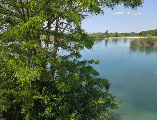 Hollerner See in Eching