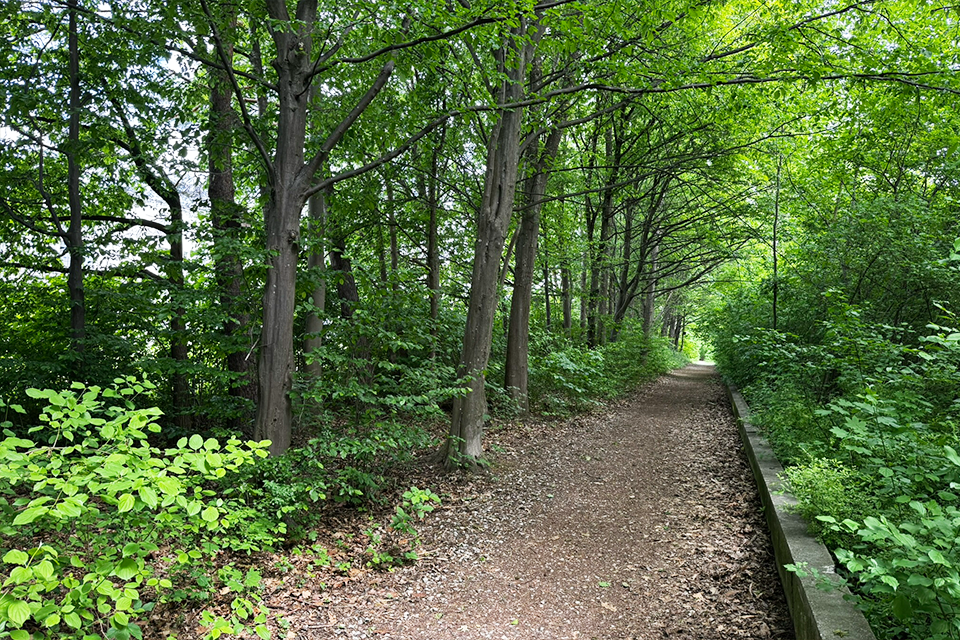 prinz-eugen-park_bogenhausen_spaziergang