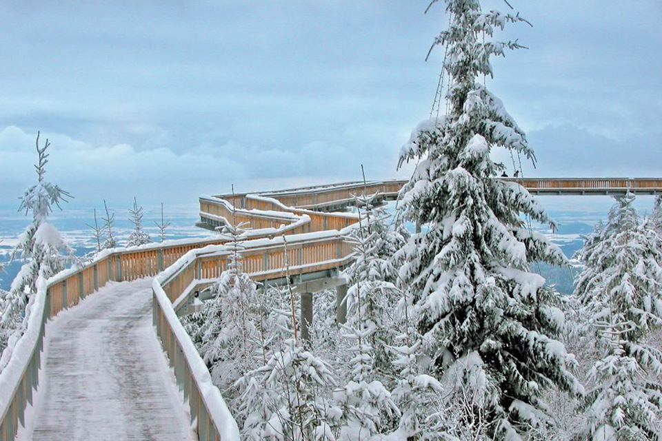 Waldwipflepfad_Winter_Presse_schnee