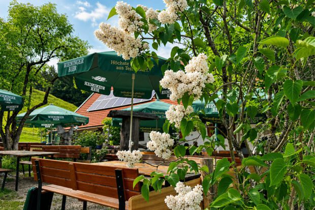 almwanderung_grassau_hefteralm_garten