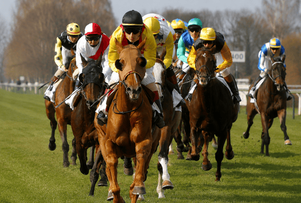 galopprennbahn riem
