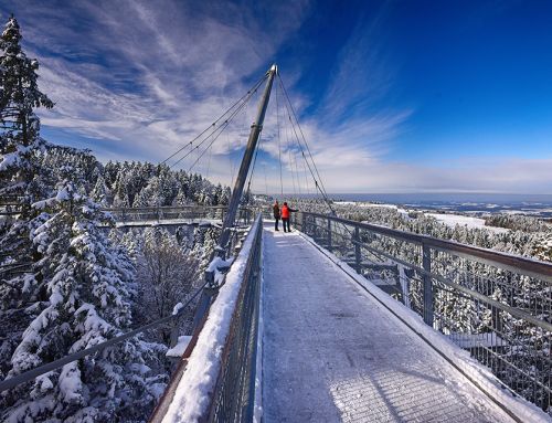 Waldwelt Skywalk Allgäu im Winter